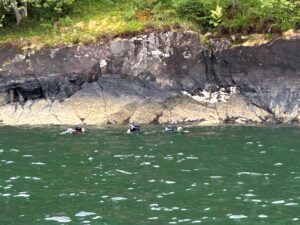 Divers in the water
